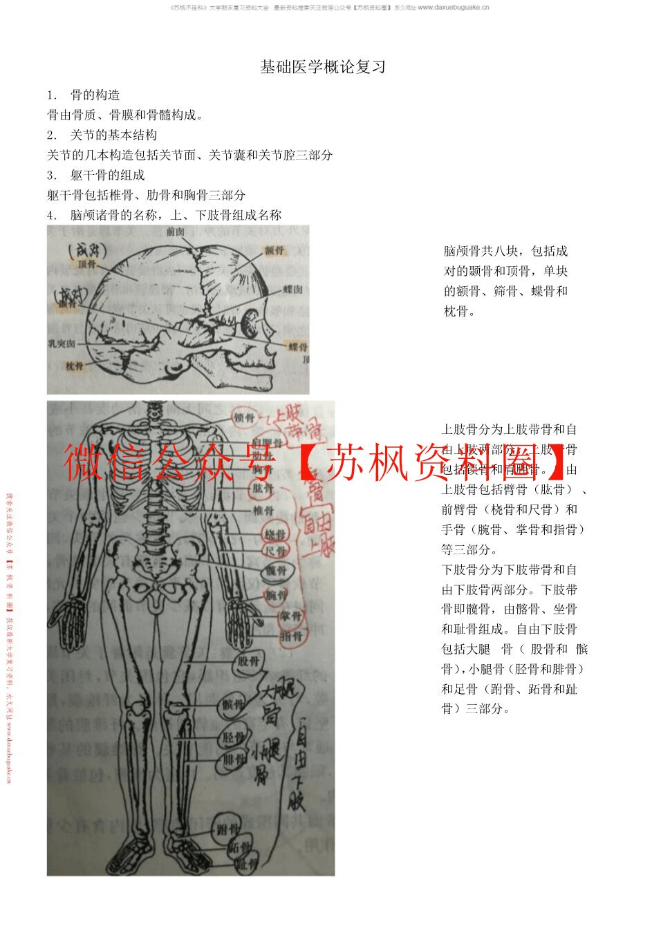 基础医学概论